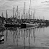 Harbour Reflections