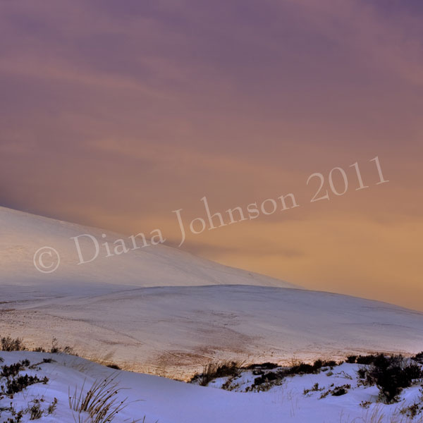 Evening glow, Aberdeenshire