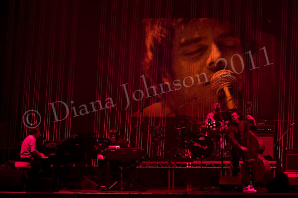Jamie Cullum,