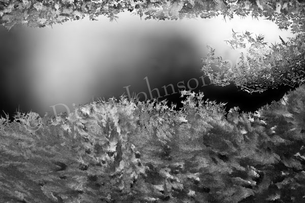 Ice patterns of window