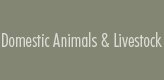 Domestic Animals and Livestock