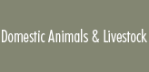 Domestic Animals and Livestock