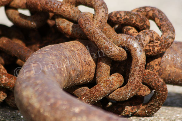 Rusty chain at the harbour