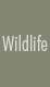 Wildlife